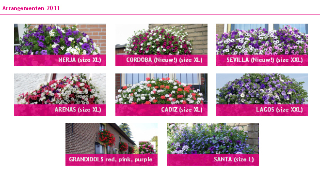 arrangementen-voorjaar